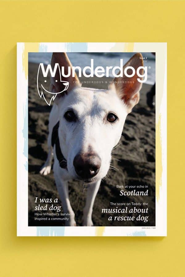 Wunderdog Magazine issue 2:  Whistler's sled dogs, Scotland, prison dogs